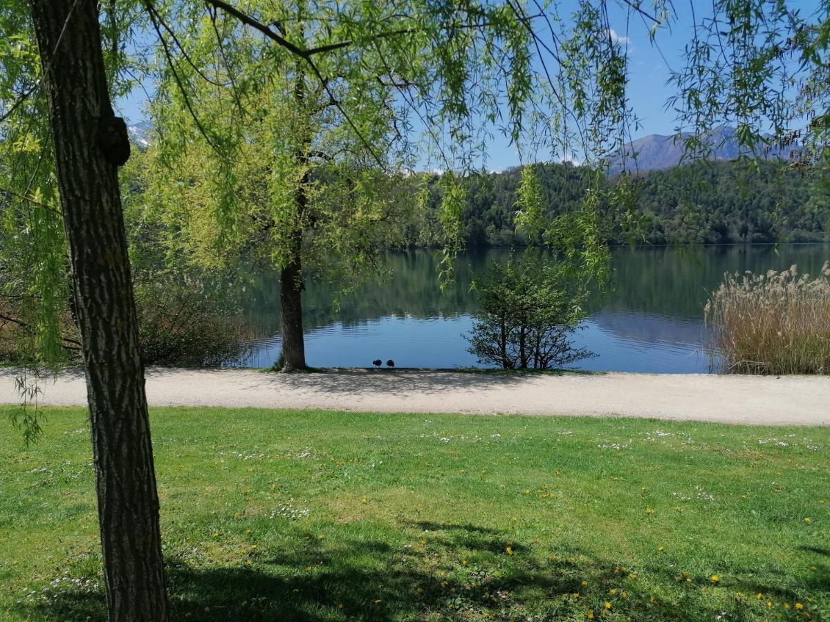 Ca' Dei Cigni Lejlighed Calceranica al Lago Eksteriør billede